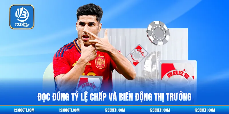 Đọc đúng tỷ lệ chấp và biến động thị trường